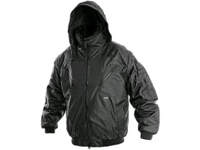 3387_1210 003 800 00 PILOT